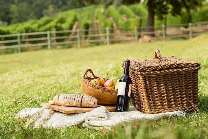 Saturnia and Picnic at sunset in the middle of the vineyards