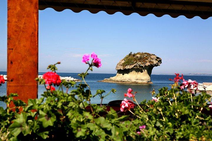 Afternoon Bus Tour of the Island of Ischia