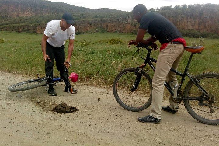 7 Days Group Tour to Maasai Mara, Nakuru, Naivasha & Amboseli national Parks