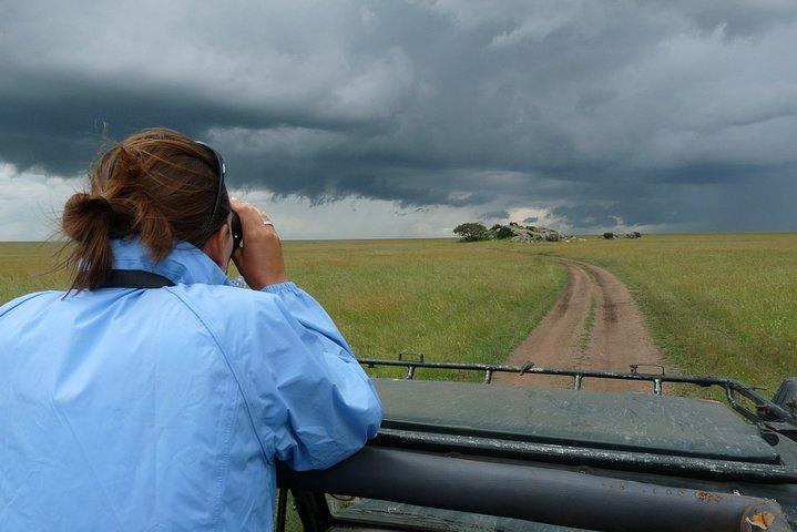 Serengeti Wildebeest Migration.