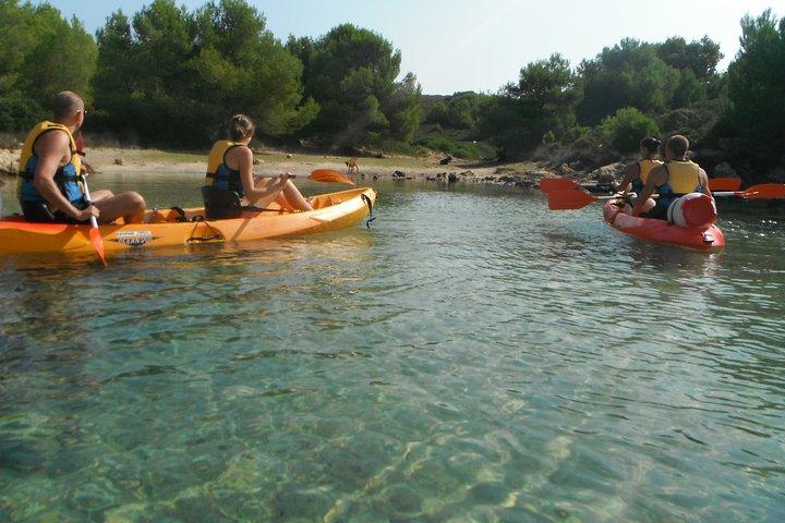 Kayak Tour in the Marine Reserve !