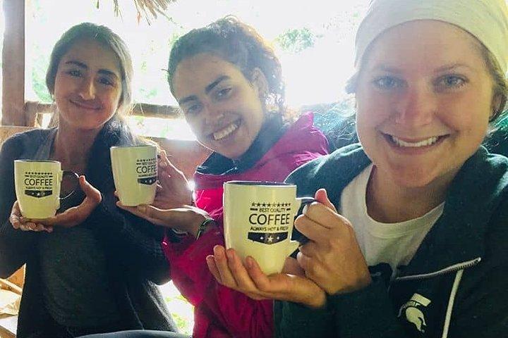 Experience Marangu - Kilimanjaro