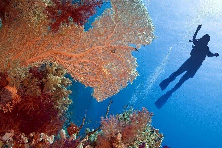 Private 4 Nights Cairo & Sharm El Sheikh Tour