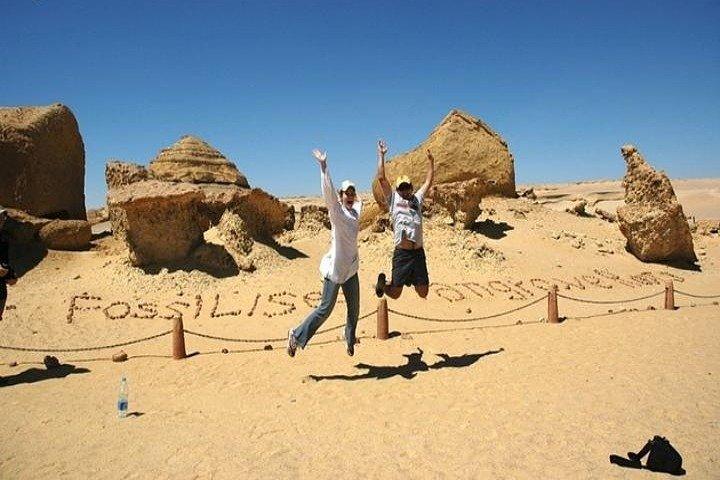 Private Fayoum, Wadi El Hitan & Wadi El Rayan Safari from Cairo