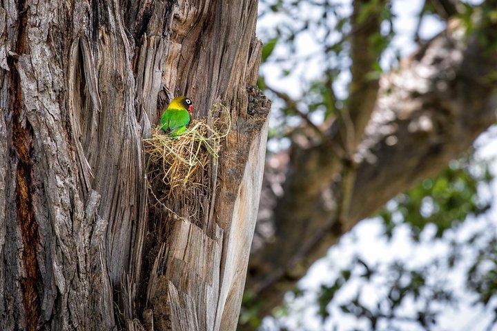 4 Days Private for 4 Pax Ngorongoro & Serengeti
