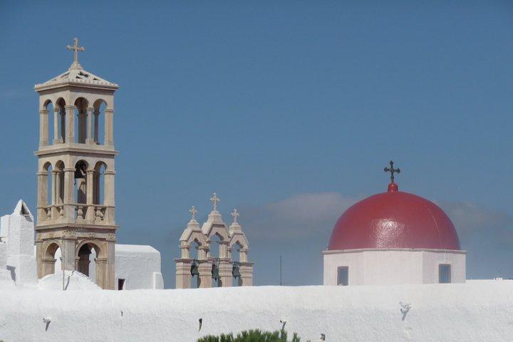 Half-Day Private Guided Tour in Mykonos