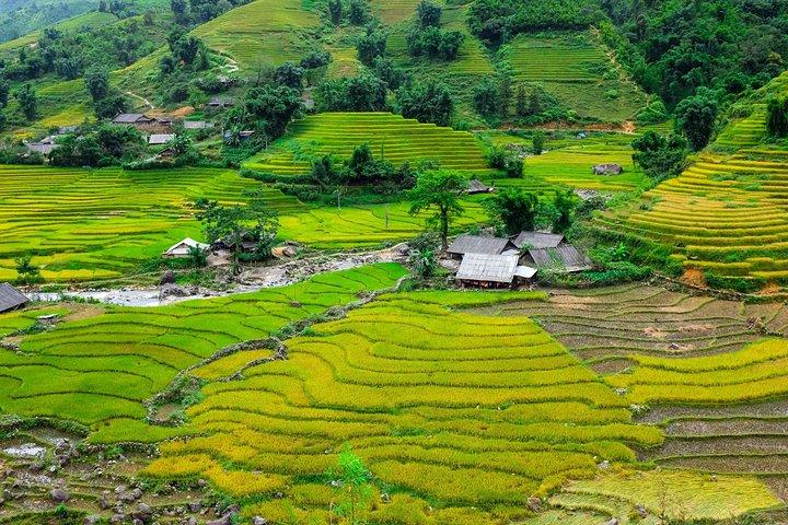 Sapa 2 days Overnight at homestay in Ta Van village