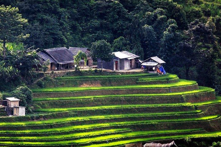 Sapa 2 days Overnight at homestay in Ta Van village
