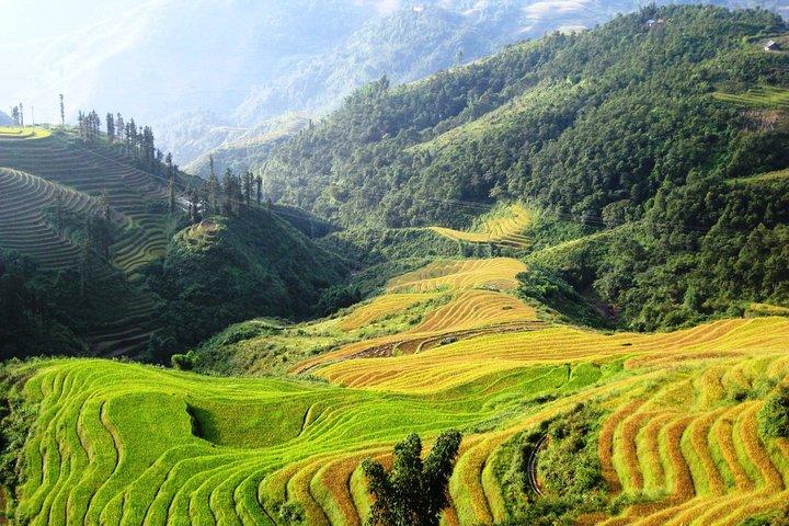 Sapa 2 days Overnight at homestay in Ta Van village