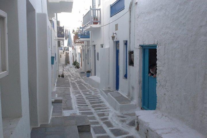 Half-Day Private Guided Tour in Mykonos