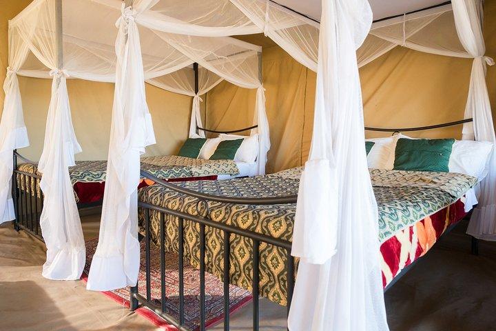 7 Days Kenya and Tanzania Wildlife Safari