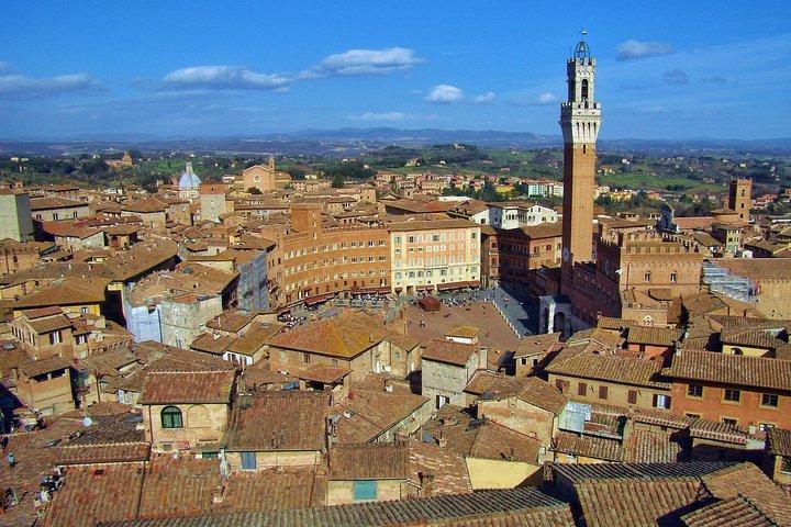 Siena private guided tour for families