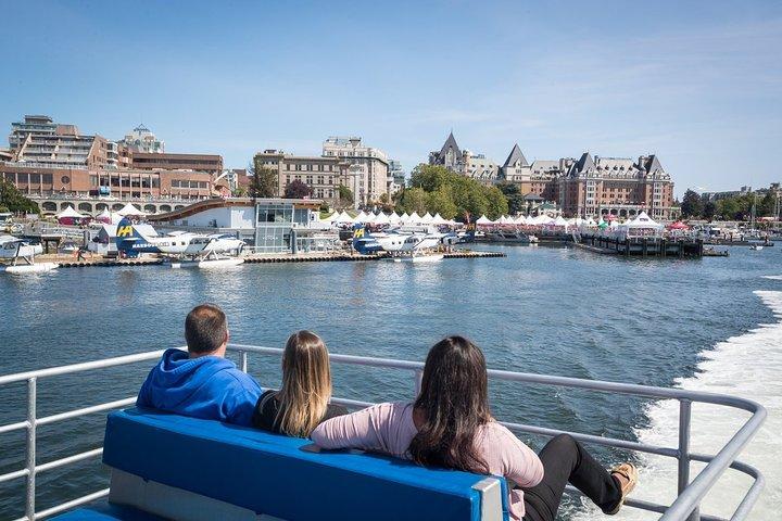 Victoria Half-Day Whale Watching Adventure with Free Photos