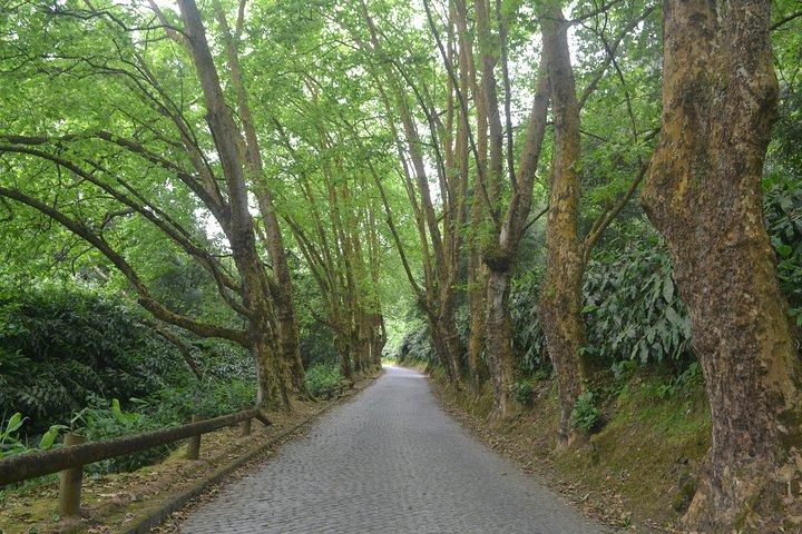 Hike Salto do Cabrito and Hotsprings