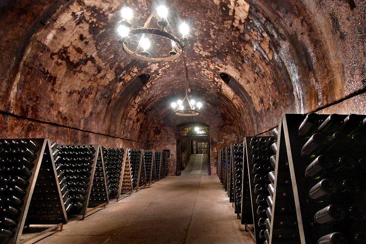 Bergamo and Franciacorta with lunch and cellar visit