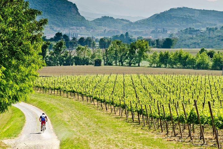 Bergamo and Franciacorta with lunch and cellar visit