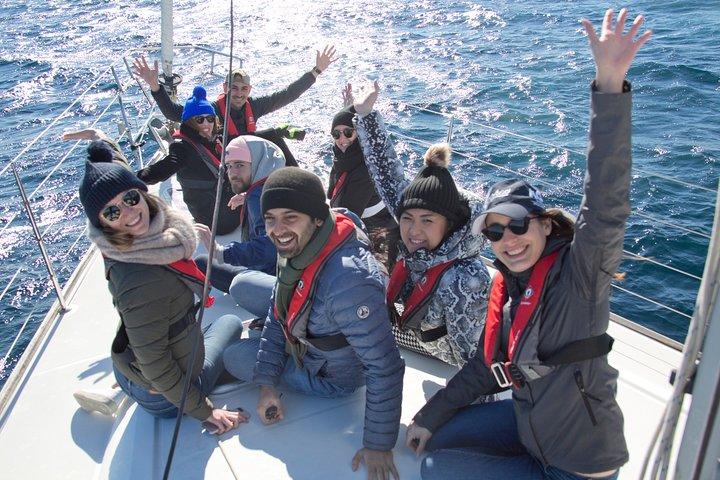 Whale Watching Sailing Experience in Sydney