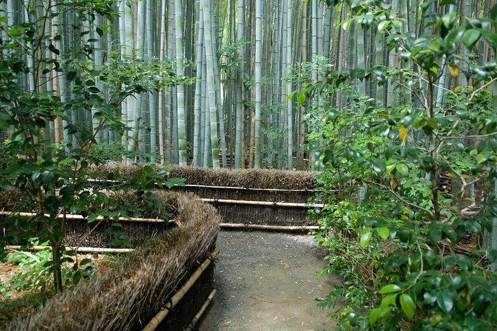 Arashiyama Bamboo Forest E-Biking Tour