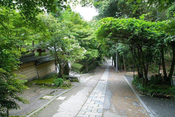 Arashiyama Bamboo Forest E-Biking Tour