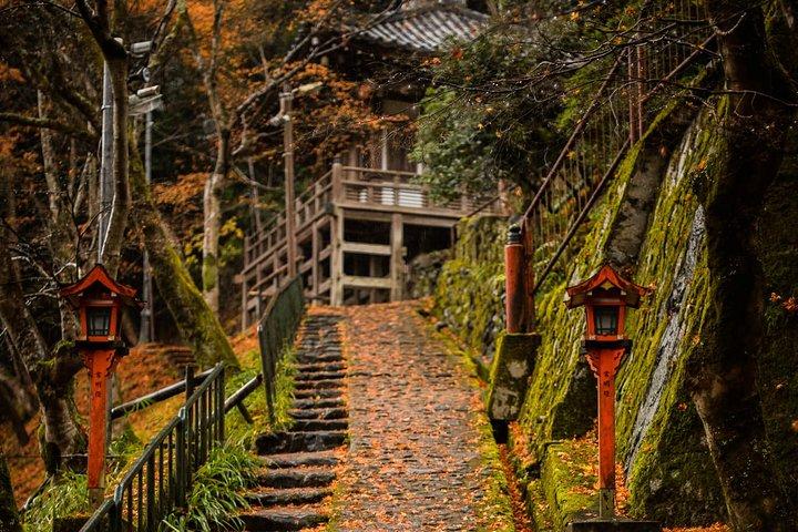Arashiyama Bamboo Forest E-Biking Tour