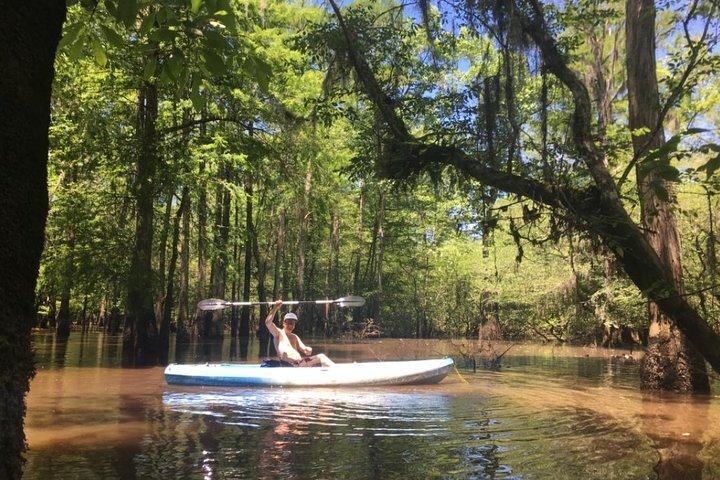 Small-Group Manchac Swamp Kayak Tour
