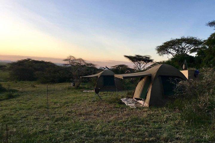3days Tarangire,Ngorongoro Crater and lake Manyara
