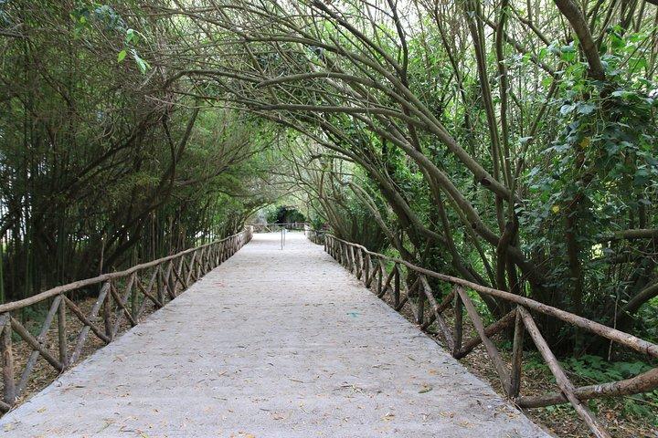 Group guided tour of the archaeological park of Neapolis
