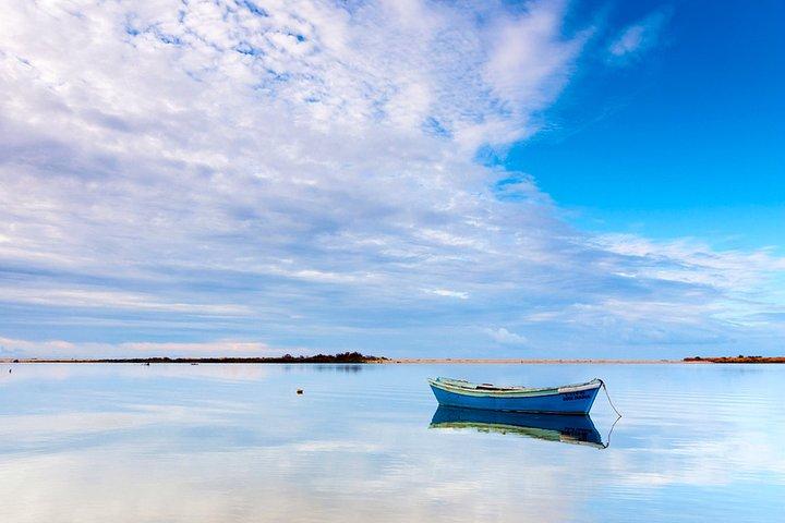 3-Hour Boat Tour in Ria Formosa on Olhão Algarve