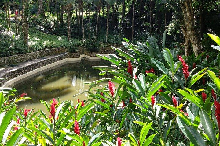 Explore Puerto Plata's Best & Cable Car - Shore Excursion