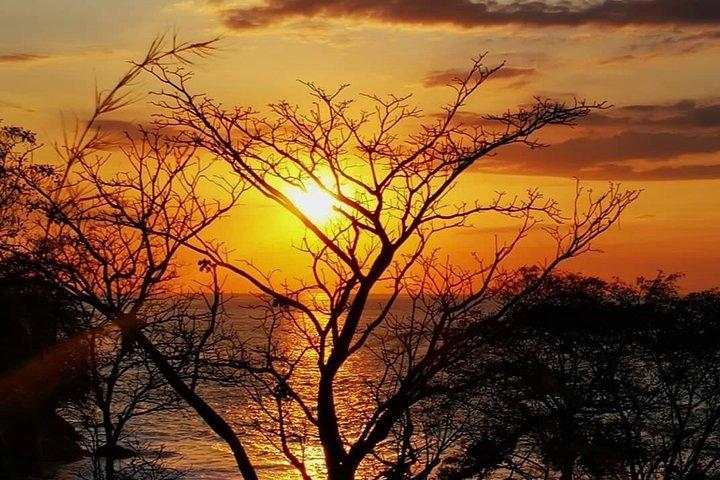 Manuel Antonio National Park: A Complete Wildlife Experience