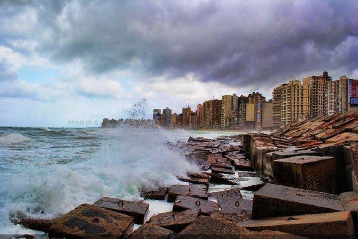 Private Day Trip to Alexandria (Archeological)