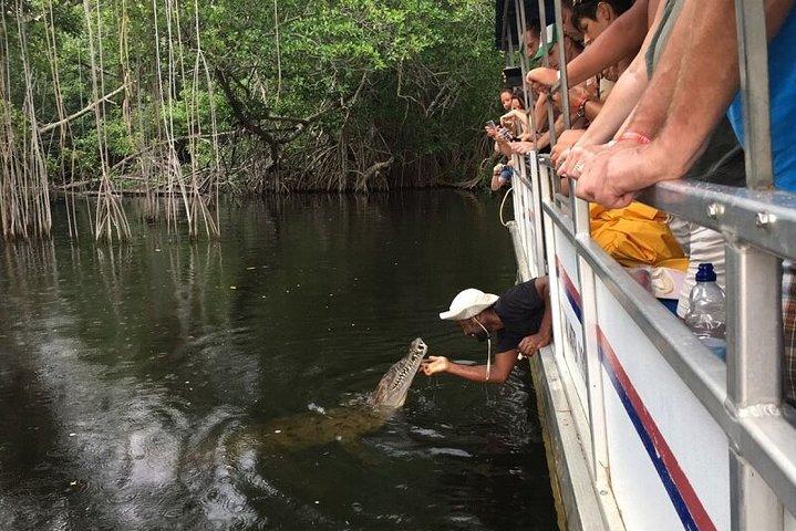Black River Safari/YS Falls plus Floyd's Pelican Bar Private Tour