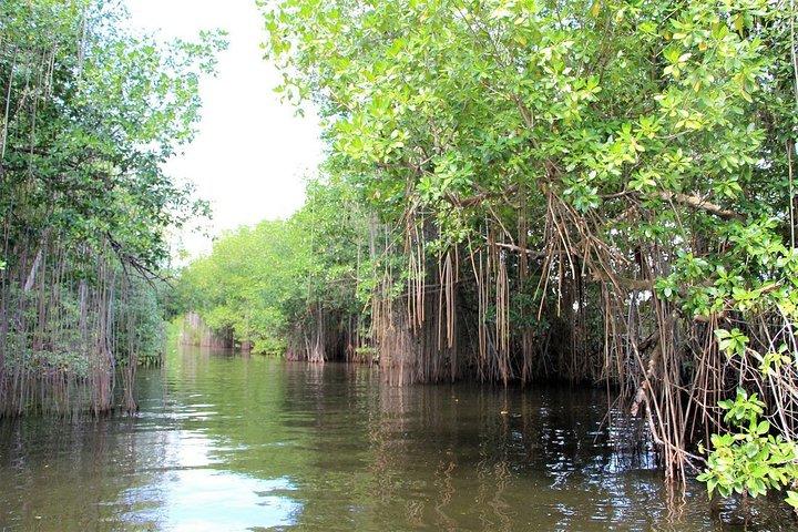 Black River Safari/YS Falls plus Floyd's Pelican Bar Private Tour