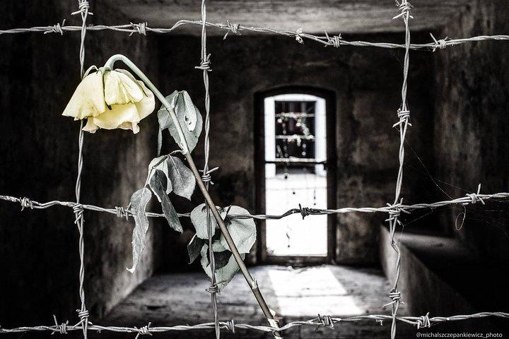 Stutthof Concentration Camp Private Tour from Gdansk