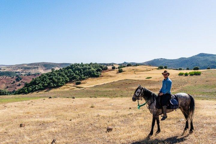 Atlas Mountains Horseback Ride Day Tour From Marrakech