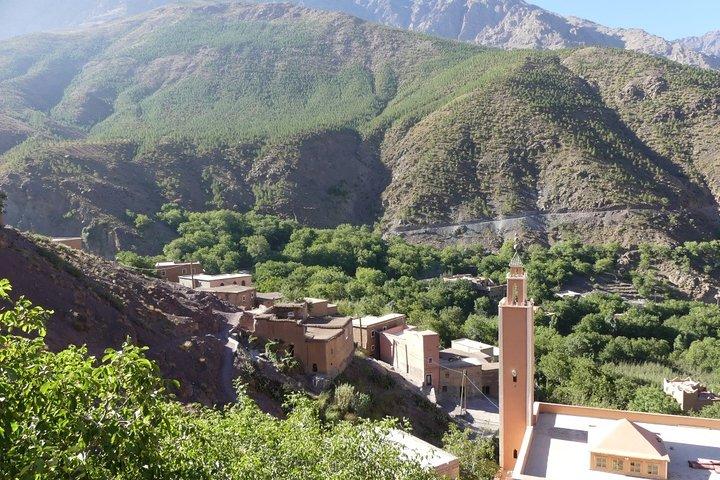 Atlas Mountains Horseback Ride Day Tour From Marrakech