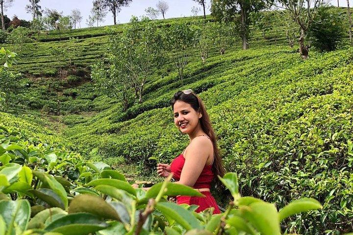 Wonder of Sri Lanka (09N / 10D)