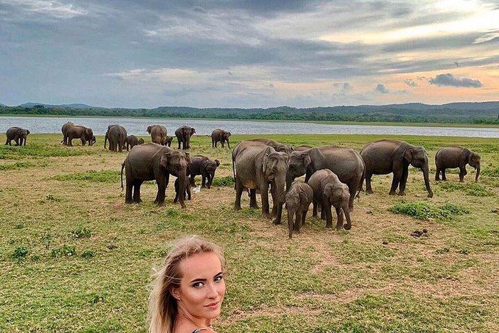 Wonder of Sri Lanka (09N / 10D)