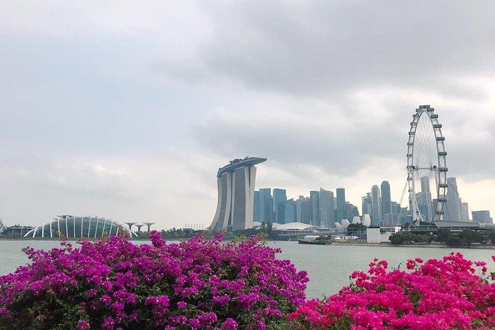 BEST Singapore Private City Tour by an Insider (1/2/3 x full-day)