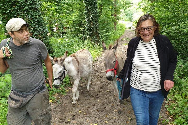 Inspirational Nature Walking Tour with Donkeys in The Hague