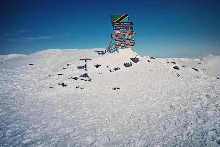 5days Marangu route Kilimanjaro Climbing