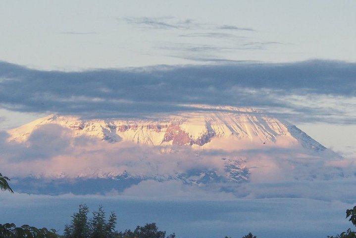 5days Marangu route Kilimanjaro Climbing