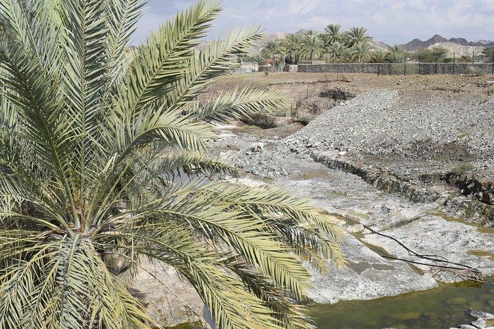 Mountain Safari Tour to Jabel Jais - Ras al Khaimah