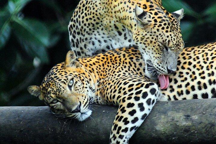 Adventure Sri Lanka ( 5N/6D)