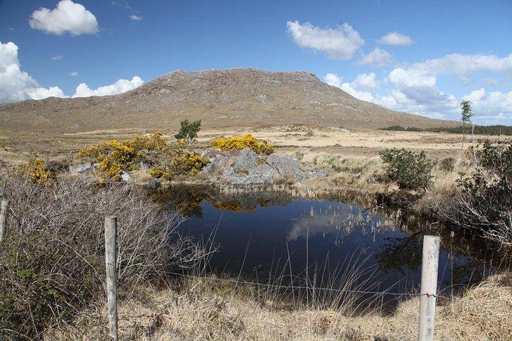 From Galway: Guided tour of Connemara with 3 hour stop in Kylemore Abbey