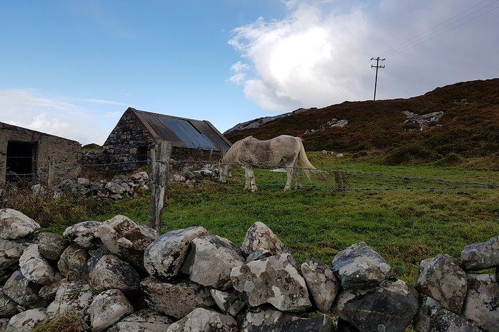 From Galway: Guided tour of Connemara with 3 hour stop in Kylemore Abbey