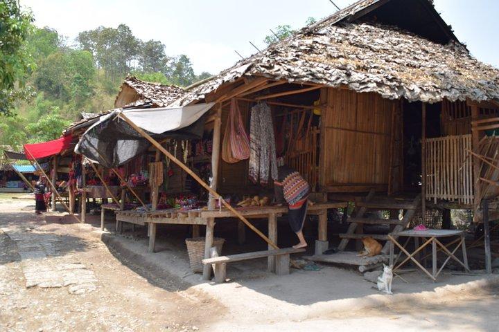 Half Day Long Neck hill tribe and Elephant POOPOOPAPER Park (Private Tour)