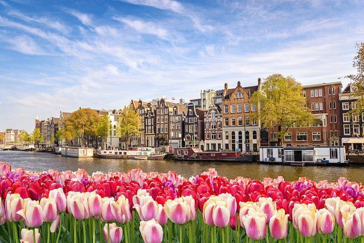 Airport Transfer: Amsterdam to Schiphol Airport AMS by Luxury Van