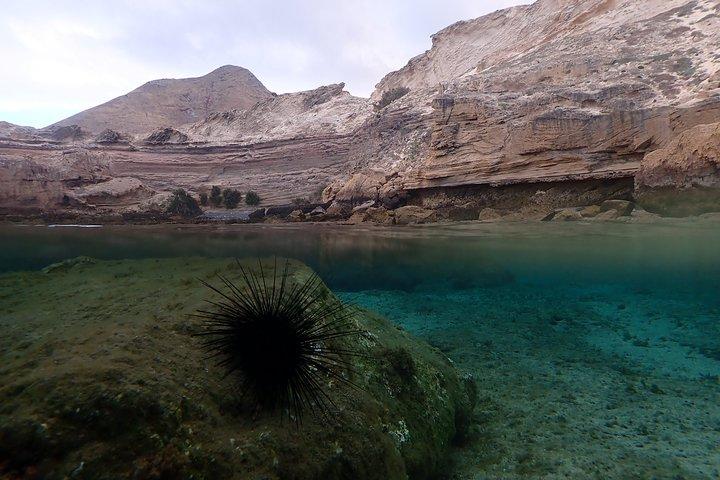 Snorkeling Tour