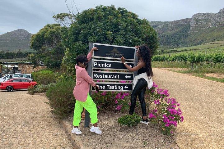 Kirstenbosch Botanical Gardens and Constantia Wine Tasting Tour.